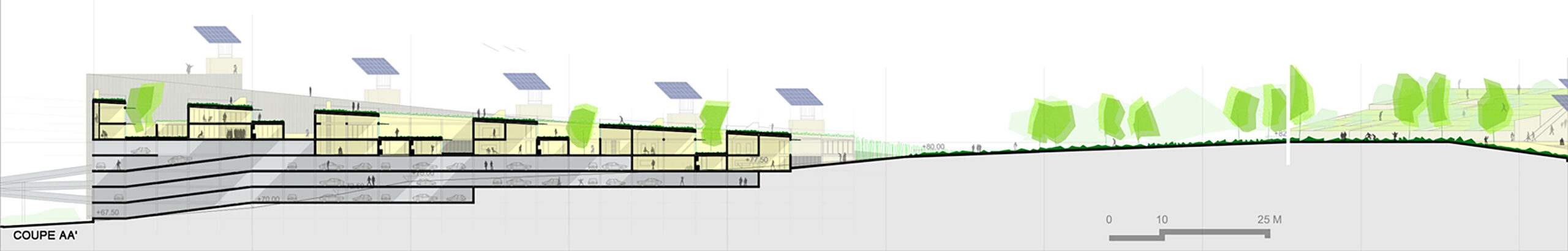 Coupe — Logements et parkings