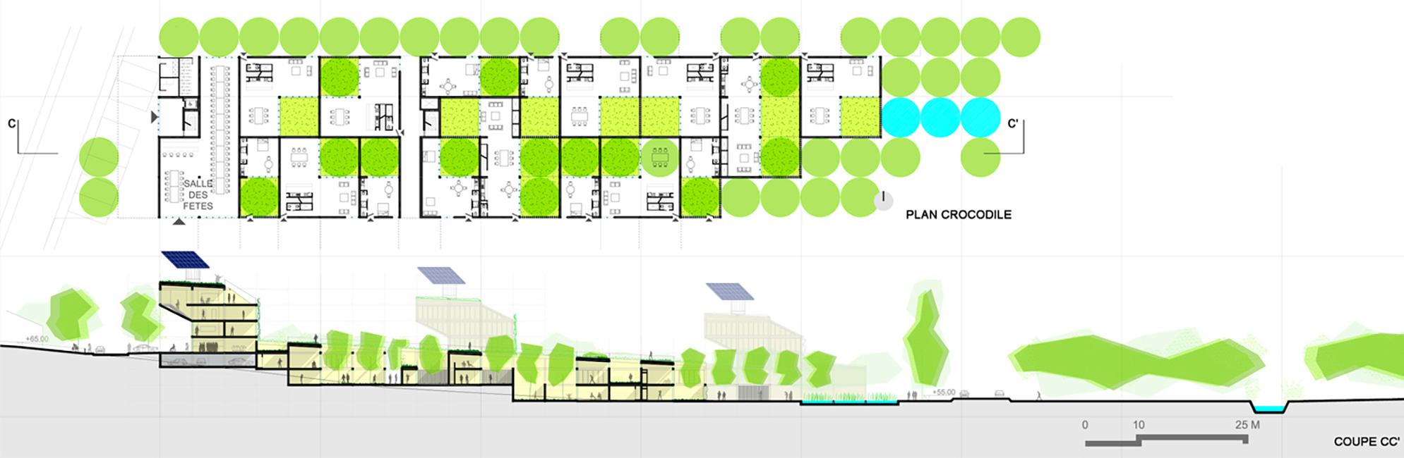 Plan coupe — Logements